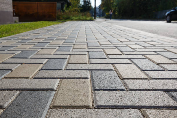 Best Driveway Pavers Cost  in Park City, TN